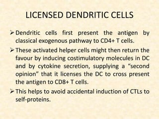 LICENSED DENDRITIC CELLS
Dendritic cells first present the antigen by
classical exogenous pathway to CD4+ T cells.
These activated helper cells might then return the
favour by inducing costimulatory molecules in DC
and by cytokine secretion, supplying a “second
opinion” that it licenses the DC to cross present
the antigen to CD8+ T cells.
This helps to avoid accidental induction of CTLs to
self-proteins.
 