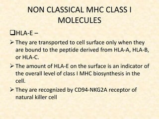 NON CLASSICAL MHC CLASS I
MOLECULES
HLA-E –
 They are transported to cell surface only when they
are bound to the peptide derived from HLA-A, HLA-B,
or HLA-C.
 The amount of HLA-E on the surface is an indicator of
the overall level of class I MHC biosynthesis in the
cell.
 They are recognized by CD94-NKG2A receptor of
natural killer cell
 