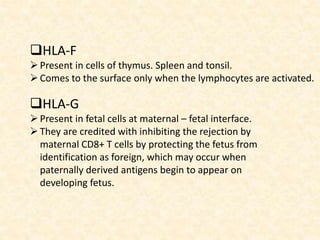 HLA-F
Present in cells of thymus. Spleen and tonsil.
Comes to the surface only when the lymphocytes are activated.
HLA-G
Present in fetal cells at maternal – fetal interface.
They are credited with inhibiting the rejection by
maternal CD8+ T cells by protecting the fetus from
identification as foreign, which may occur when
paternally derived antigens begin to appear on
developing fetus.
 
