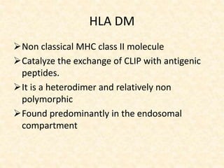 HLA DM
Non classical MHC class II molecule
Catalyze the exchange of CLIP with antigenic
peptides.
It is a heterodimer and relatively non
polymorphic
Found predominantly in the endosomal
compartment
 