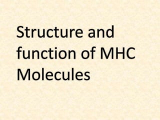 Structure and
function of MHC
Molecules
 