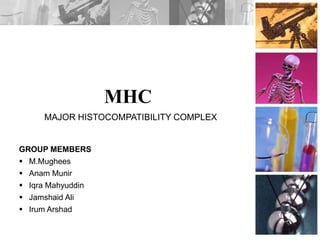 MHC
GROUP MEMBERS
 M.Mughees
 Anam Munir
 Iqra Mahyuddin
 Jamshaid Ali
 Irum Arshad
MAJOR HISTOCOMPATIBILITY COMPLEX
 