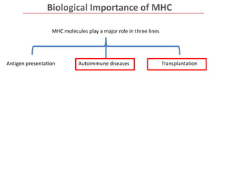 Biological Importance of MHC
MHC molecules play a major role in three lines
Antigen presentation Autoimmune diseases Transplantation
 