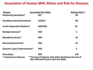Association of Human MHC Alleles and Risk for Diseases
Disease Associated HLA Allele Relative Risk**
Ankylosing Spondylitis* B27 90
Hereditary Hemochromatosis A3/B14 90
Insulin Dependent Diabetes* DR4/DR3 20
Multiple Sclerosis* DR2 5
Myasthenia Gravis* DR3 10
Rheumatoid Arthritis* DR4 10
Systemic Lupus Erythromatosis* DR3 5
Narcolepsy DR2 130
* Autoimmune Disease **Percent of Patients with Allele Divided by Percent of
Non-Affected Persons with this Allele
 