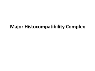 Major Histocompatibility Complex
 
