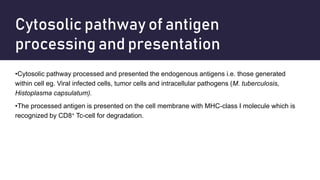 Cytosolic pathway of antigen
processing and presentation
•Cytosolic pathway processed and presented the endogenous antigens i.e. those generated
within cell eg. Viral infected cells, tumor cells and intracellular pathogens (M. tuberculosis,
Histoplasma capsulatum).
•The processed antigen is presented on the cell membrane with MHC-class I molecule which is
recognized by CD8+ Tc-cell for degradation.
 
