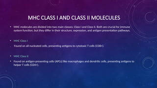 Major Histocompatibility Complex and Its Role in Immune System Function ...