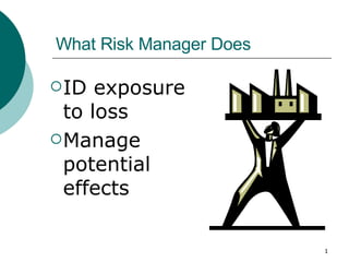 What Risk Manager Does ,[object Object],[object Object]