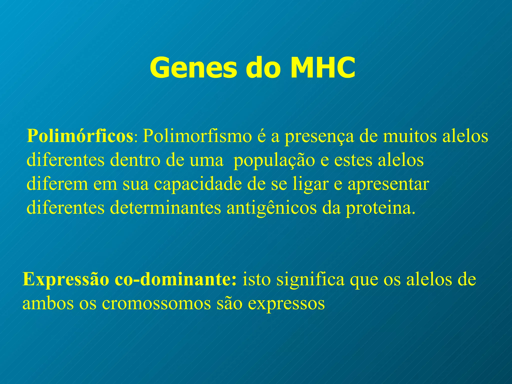 G enes do MHC   Po l im órficos :   Polimorfismo  é a   presença de muitos alelos diferentes  dentro de uma  população e estes alelos diferem em sua capacidade de se ligar e apresentar diferentes determinantes antigênicos da proteina. Expressão co-dominante:  isto significa que os alelos de ambos os cromossomos são expressos 