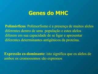 G enes do MHC   Po l im órficos :   Polimorfismo  é a   presença de muitos alelos diferentes  dentro de uma  população e estes alelos diferem em sua capacidade de se ligar e apresentar diferentes determinantes antigênicos da proteina. Expressão co-dominante:  isto significa que os alelos de ambos os cromossomos são expressos 