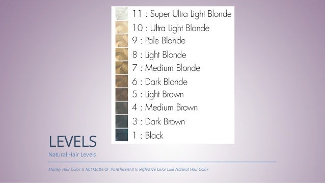 Mastey Hair Color Certification Advanced Formulations