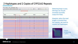 © 2019 DNAnexus, Inc. All Rights Reserved.
2 Haplotypes and 2 Copies of CYP21A2 Repeats
15
Detecting loops is easy.
(Perhaps we should
annotate assembly
output for that).
However, when the read
length is shorted than
the repeats, we need to
resolve 2x2 haplotypes.
Variant
co-occurring
pattern
 