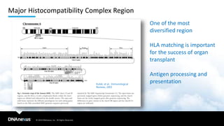© 2019 DNAnexus, Inc. All Rights Reserved.
Major Histocompatibility Complex Region
One of the most
diversified region
HLA matching is important
for the success of organ
transplant
Antigen processing and
presentationKulski, et al., Immunological
Reviews, 2003
 