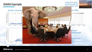 © 2019 DNAnexus, Inc. All Rights Reserved.
GWAS Example
4
MHC
Number of Associated Phenotypes per Variant Number of Associated Variant per 5Mbp
Unusually high number of “significant”
association in the MHC over 918 phenotype
labels
(UK Biobank, ~337,000 samples, Neale Lab Rapid GWAS results on
41202: ICD10 code, 20002: self-reported diseases,
https://www.nealelab.is/blog/2017/7/19/rapid-gwas-of-thousands-of-
phenotypes-for-337000-samples-in-the-uk-biobank)
(Instead of a typical
Manhattan plot, We
have a “Taipei” plot)
Numberofvariants
 