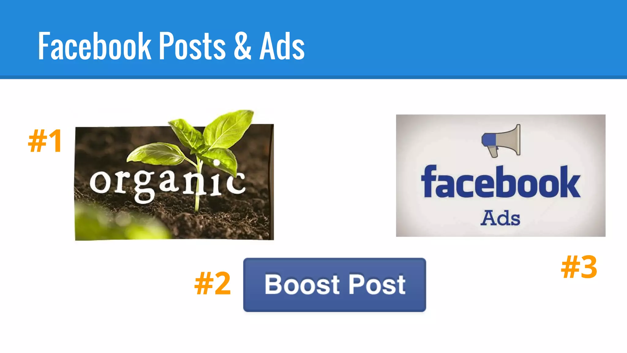 Facebook Posts & Ads
#1
#2
#3
 