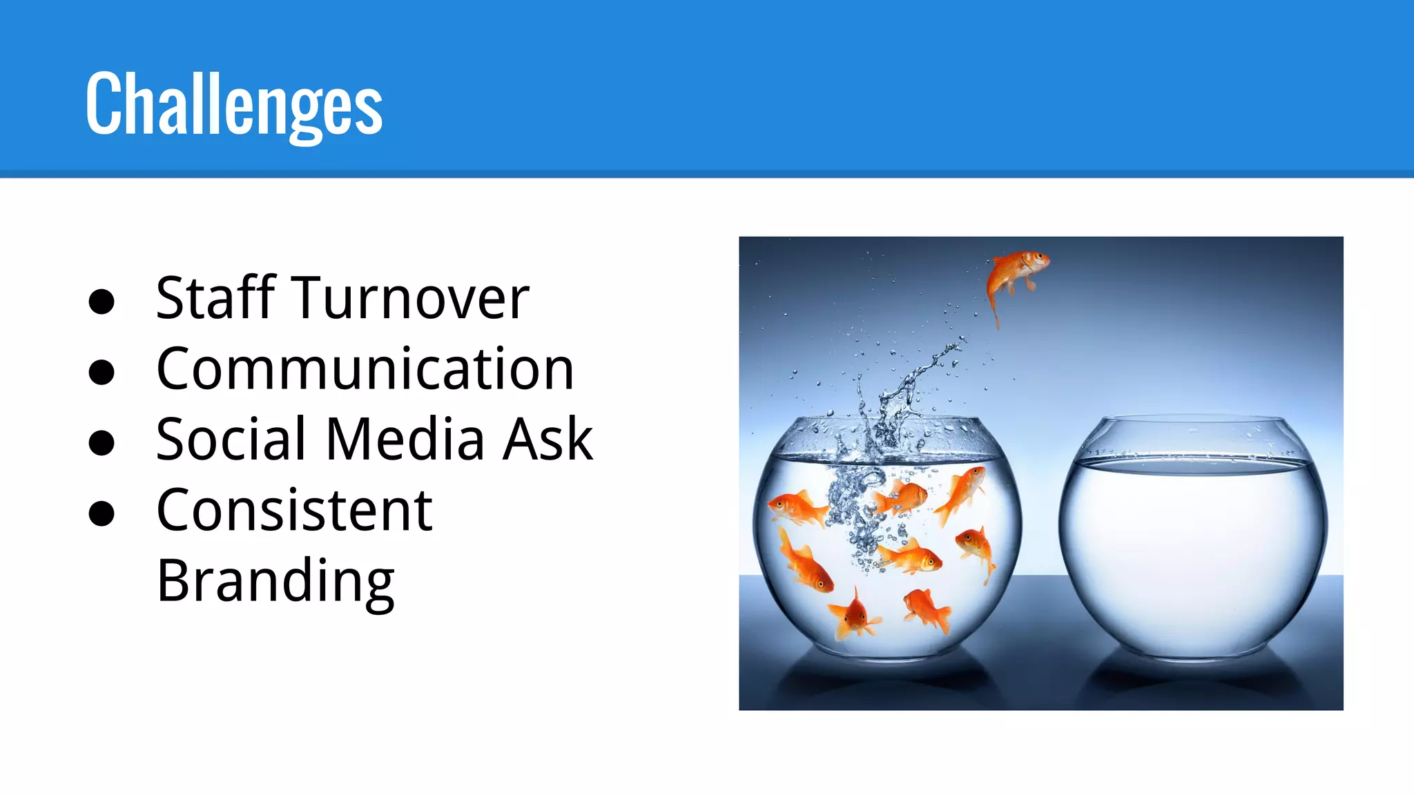 Challenges
● Staff Turnover
● Communication
● Social Media Ask
● Consistent
Branding
 