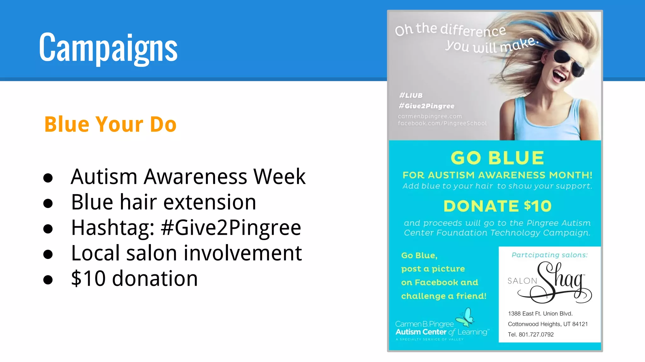 Campaigns
● Autism Awareness Week
● Blue hair extension
● Hashtag: #Give2Pingree
● Local salon involvement
● $10 donation
Blue Your Do
 