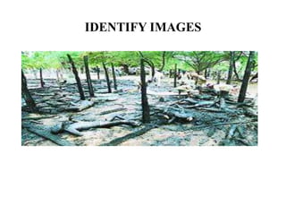 IDENTIFY IMAGES
 