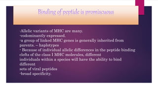 -Allelic variants of MHC are many.
-codominantly expressed.
-a group of linked MHC genes is generally inherited from
parents. – haplotypes
- Because of individual allelic differences in the peptide binding
clefts of the class I MHC molecules, different
individuals within a species will have the ability to bind
different
sets of viral peptides
-broad specificity.
 