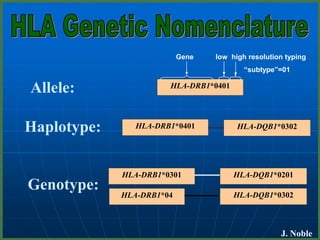 HLA-DQB1*0302
HLA-DRB1*0401
HLA-DRB1*0401
Allele:
Haplotype:
Genotype:
J. Noble
Gene low high resolution typing
“subtype”=01
HLA-DQB1*0302
HLA-DRB1*0301 DRB1*02
HLA-DRB1*04
HLA-DQB1*0201
 