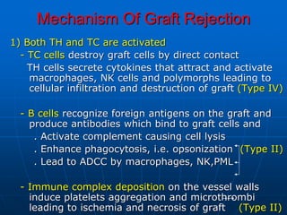 Mechanism Of Graft Rejection
1) Both TH and TC are activated
- TC cells destroy graft cells by direct contact
TH cells secrete cytokines that attract and activate
macrophages, NK cells and polymorphs leading to
cellular infiltration and destruction of graft (Type IV)
- B cells recognize foreign antigens on the graft and
produce antibodies which bind to graft cells and
. Activate complement causing cell lysis
. Enhance phagocytosis, i.e. opsonization (Type II)
. Lead to ADCC by macrophages, NK,PML
- Immune complex deposition on the vessel walls
induce platelets aggregation and microthrombi
leading to ischemia and necrosis of graft (Type II)
 