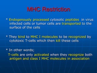 MHC Restriction
* Endogenously processed cytosolic peptides in virus
infected cells or tumor cells are transported to the
surface of the cells
* They bind to MHC I molecules to be recognized by
cytotoxic T-cells which then kill these cells
* In other words;
T-cells are only activated when they recognize both
antigen and class I MHC molecules in association
 