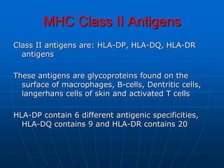 MHC Class II Antigens
Class II antigens are: HLA-DP, HLA-DQ, HLA-DR
antigens
These antigens are glycoproteins found on the
surface of macrophages, B-cells, Dentritic cells,
langerhans cells of skin and activated T cells
HLA-DP contain 6 different antigenic specificities,
HLA-DQ contains 9 and HLA-DR contains 20
 