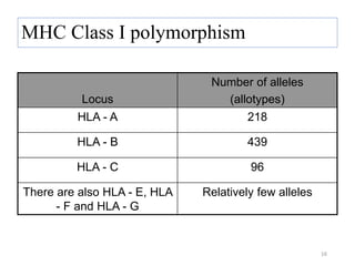 MHC Class I polymorphism
Locus
Number of alleles
(allotypes)
HLA - A 218
HLA - B 439
HLA - C 96
There are also HLA - E, HLA
- F and HLA - G
Relatively few alleles
16
 