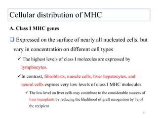Cellular distribution of MHC
A. Class I MHC genes
 Expressed on the surface of nearly all nucleated cells; but
vary in concentration on different cell types
 The highest levels of class I molecules are expressed by
lymphocytes.
In contrast, fibroblasts, muscle cells, liver hepatocytes, and
neural cells express very low levels of class I MHC molecules.
 The low level on liver cells may contribute to the considerable success of
liver transplants by reducing the likelihood of graft recognition by Tc of
the recipient
17
 
