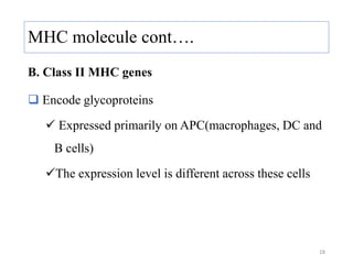 MHC molecule cont….
B. Class II MHC genes
 Encode glycoproteins
 Expressed primarily on APC(macrophages, DC and
B cells)
The expression level is different across these cells
18
 