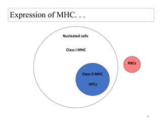 Expression of MHC. . .
Class I MHC
Class II MHC
RBCs
APCs
Nucleated cells
19
 