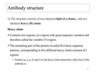 Antibody structure
 The structure consists of two identical light (L) chains, and two
identical heavy (H) chain
Heavy chain
Contains two regions, a) a region with great sequence variation and
therefore called the variable (V) region.
The remaining part of the protein revealed five basic sequence
patterns, corresponding to five different heavy-chain constant (C)
regions
• Namely (µ, y, a, d, and £ )so the heavy chain determines what class of the
antibody is.
27
 
