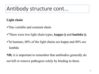 Antibody structure cont...
Light chain
Has variable and constant chain
There were two light chain types, kappa () and lambda ().
In humans, 60% of the light chains are kappa and 40% are
lambda
NB; it is important to remember that antibodies generally do
not kill or remove pathogens solely by binding to them.
28
 
