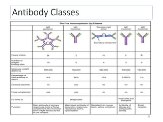 33
Antibody Classes
 