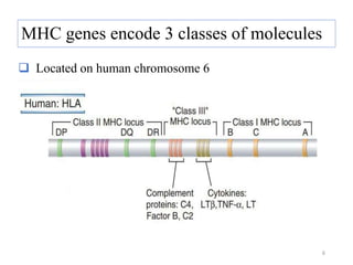  Located on human chromosome 6
MHC genes encode 3 classes of molecules
6
 