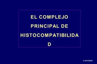 A ESCOBAR
EL COMPLEJO
PRINCIPAL DE
HISTOCOMPATIBILIDA
D
 