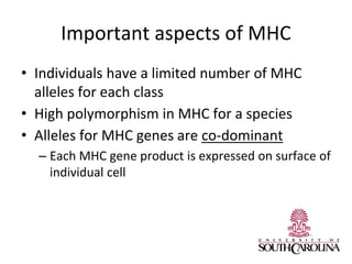 Important aspects of MHC
• Individuals have a limited number of MHC
alleles for each class
• High polymorphism in MHC for a species
• Alleles for MHC genes are co-dominant
– Each MHC gene product is expressed on surface of
individual cell
 