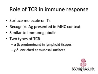 Role of TCR in immune response
• Surface molecule on Ts
• Recognize Ag presented in MHC context
• Similar to Immunoglobulin
• Two types of TCR
– α β: predominant in lymphoid tissues
– γ δ: enriched at mucosal surfaces
 