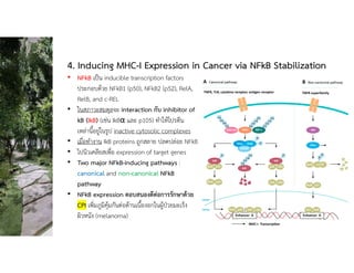 4. Inducing MHC-I Expression in Cancer via NFkB Stabilization
• NFkB เปน inducible transcription factors
ประกอบดวย NFkB1 (p50), NFkB2 (p52), RelA,
RelB, and c-REL
• ในสภาวะสมดุลจะ interaction กับ inhibitor of
kB (IkB) (เชน IkBα และ p105) ทําใหโปรตีน
เหลานี้อยูในรูป inactive cytosolic complexes
• เมื่อทํางาน IkB proteins ถูกสลาย ปลดปลอย NFkB
• ไปนิวเคลียสเพื่อ expression of target genes
• Two major NFkB-inducing pathways :
canonical and non-canonical NFkB
pathway
• NFkB expression ตอบสนองดีตอการรักษาดวย
CPI เพิ่มภูมิคุมกันตอตานเนื้องอกในผูปวยมะเร็ง
ผิวหนัง (melanoma)
 