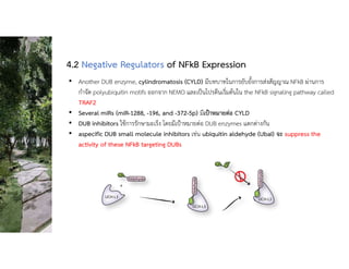 • Another DUB enzyme, cylindromatosis (CYLD) มีบทบาทในการยับยั้งการสงสัญญาณ NFkB ผานการ
กําจัด polyubiquitin motifs ออกจาก NEMO และเปนโปรตีนเริ่มตนใน the NFkB signaling pathway called
TRAF2
• Several miRs (miR-1288, -196, and -372-5p) มีเปาหมายตอ CYLD
• DUB inhibitors ใชการรักษามะเร็ง โดยมีเปาหมายตอ DUB enzymes แตกตางกัน
• aspecific DUB small molecule inhibitors เชน ubiquitin aldehyde (UbaI) จะ suppress the
activity of these NFkB targeting DUBs
4.2 Negative Regulators of NFkB Expression
 