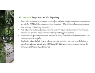 5.2. Negative Regulators of IFN Signaling
• มีรายงานวา peptidyl-prolyl isomerase Pin1 กระตุนการแพรหลาย (ubiquitination) และการยอยสลายของ
IFN ชนิดที่ 1 ที่ทําใหเกิดปจจัยการถอดความ (transcription) IRF3 ซึ่งโดยปกติจะกระตุน positive feedback
loop ตาม type I IFN pathway stimulation
• Pin1 ไดรับการพิสูจนแลววาสูงขึ้นในมะเร็งหลายชนิด โดยมีบทบาทในการกระตุนกระบวนการขับเคลื่อนมะเร็ง
หลายชนิด เนื่องจาก Pin1 เกี่ยวของกับการลดการควบคุมการสงสัญญาณ IFN ประเภท I
• การยับยั้งอาจนําไปสูการแสดงออกของ MHC-I ที่ไดรับการปรับปรุง ซึ่งสงผลใหความเปนพิษตอเซลลของ T-cell-
mediated cytotoxicity สูงขึ้น
• ปจจุบันไดมีการพัฒนาตัวยับยั้ง Pin1 หลายตัวเชน miR-200b, miR-200c, and miR296-5p ซึ่งเปนโมเลกุล
ขนาดเล็กของ all-trans retinoic acid (ATRA) และ KPT-6566 และสารประกอบธรรมชาติ Juglone ซึ่ง
ทั้งหมดแสดงฤทธิ์ตานมะเร็งในมะเร็งชนิดตางๆ
 