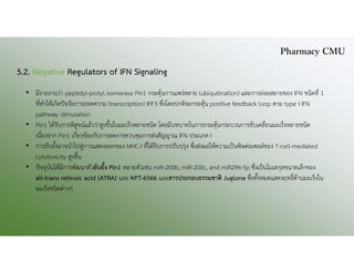 5.2. Negative Regulators of IFN Signaling
• มีรายงานวา peptidyl-prolyl isomerase Pin1 กระตุนการแพรหลาย (ubiquitination) และการยอยสลายของ IFN ชนิดที่ 1
ที่ทําใหเกิดปจจัยการถอดความ (transcription) IRF3 ซึ่งโดยปกติจะกระตุน positive feedback loop ตาม type I IFN
pathway stimulation
• Pin1 ไดรับการพิสูจนแลววาสูงขึ้นในมะเร็งหลายชนิด โดยมีบทบาทในการกระตุนกระบวนการขับเคลื่อนมะเร็งหลายชนิด
เนื่องจาก Pin1 เกี่ยวของกับการลดการควบคุมการสงสัญญาณ IFN ประเภท I
• การยับยั้งอาจนําไปสูการแสดงออกของ MHC-I ที่ไดรับการปรับปรุง ซึ่งสงผลใหความเปนพิษตอเซลลของ T-cell-mediated
cytotoxicity สูงขึ้น
• ปจจุบันไดมีการพัฒนาตัวยับยั้ง Pin1 หลายตัวเชน miR-200b, miR-200c, and miR296-5p ซึ่งเปนโมเลกุลขนาดเล็กของ
all-trans retinoic acid (ATRA) และ KPT-6566 และสารประกอบธรรมชาติ Juglone ซึ่งทั้งหมดแสดงฤทธิ์ตานมะเร็งใน
มะเร็งชนิดตางๆ
Pharmacy CMU
 