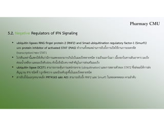 5.2. Negative Regulators of IFN Signaling
• ubiquitin ligases RING finger protein 2 (RNF2) and Smad ubiquitination regulatory factor-1 (Smurf1)
และ protein inhibitor of activated STAT (PIAS) ทํางานทั้งหมดผานการยับยั้งการเปดใชงานการถอดรหัส
(transcription) ของ STAT1
• โปรตีนเหลานี้แสดงใหเห็นวามีการแสดงออกมากเกินไปในมะเร็งหลายชนิด รวมถึงเมลาโนมา เนื้องอกในทางเดินอาหาร มะเร็ง
ตอมน้ําเหลือง และมะเร็งตับออน ดังนั้นจึงมีบทบาทสําคัญในการสงเสริมมะเร็ง
• ubiquitin ligase DCST1 สามารถกระตุนการแพรกระจาย (ubiquitination) และการสลายตัวของ STAT2 ซึ่งสงผลใหการสง
สัญญาณ IFN ชนิดที่ I ถูกขัดขวาง และมีระดับสูงขึ้นในมะเร็งหลายชนิด
• สารยับยั้งโมเลกุลขนาดเล็ก PRT4165 และ A01 สามารถยับยั้ง RNF2 และ Smurf1 ในหลอดทดลอง ตามลําดับ
Pharmacy CMU
 