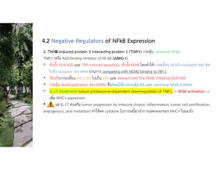 2. TNFα-induced protein 3 interacting protein 1 (TNIP1) กระตุน canonical NFkB
TNIP1 (หรือ A20-binding inhibitor of NF-kB (ABIN)-1)
• ยับยั้ง DUB A20 และ TNF-induced apoptosis ,ยับยั้ง NFkB โดยทําใหการเคลื่อน NEMO-mediated ของ IKK
ไปยัง receptor site ลดลง ผานการ competing with NEMO binding to RIP-1
• ปองกันการเปลี่ยน IkB p105 ไปเปน p50 และ interact with the NFkB inhibiting DUB A20
• กระตุน deubiquitination ของ NEMO ซึ่งสงผลใหการกระตุน IKK และ canonical NFkB บกพรอง
• IL-17 treatment induce proteasome-dependent downregulation of TNIP1 -> NFkB activation ->
เพิ่ม MHC-I expression.
• แต IL-17 สงเสริม tumor progression by inducing chronic inflammation, tumor cell proliferation,
angiogenesis, and metastasis ทําใหลด cytokine ในการเหนี่ยวนําการแสดงออกของ MHC-I ในมะเร็ง
4.2 Negative Regulators of NFkB Expression
 