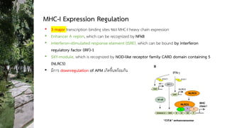 MHC Class I Downregulation in Cancer Part 1 | PDF