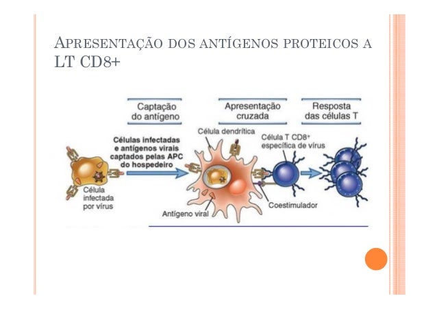 Mhc e apresentação de antigenos