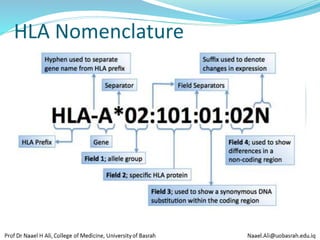 MHC final 23.pdf
