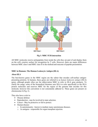 Fig 1: MHC-TCR interaction

All MHC molecules receive polypeptides from inside the cells they are part of and display them
on the cell's exterior surface for recognition by T cells. However, there are major differences
between MHC class I and MHC class II in the method and outcome of peptide presentation.


MHC in Humans: The Human Leukocyte Antigen (HLA)
About HLA
The best-known genes in the MHC region are the subset that encodes cell-surface antigen-
presenting proteins. In humans, these genes are referred to as human leukocyte antigen (HLA)
genes, although people often use the abbreviation MHC to refer to HLA gene products. To
clarify the usage, some of the biomedical literature uses HLA to refer specifically to the HLA
protein molecules and reserves MHC for the region of the genome that encodes for this
molecule; however this convention is not consistently adhered to. These genes are present on
chromosome 6 (Fig. 2).

They also have a role in:
   • Disease defense
   • Reproduction - may be involved in mate selection.
   • Cancer - May be protective or fail to protect.
   • Human disease:
       o In autoimmunity - known to mediate many autoimmune diseases.
       o As antigens - responsible for organ transplant rejection.




                                                                                             4
 