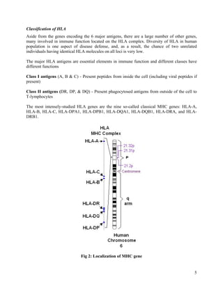 Classification of HLA
Aside from the genes encoding the 6 major antigens, there are a large number of other genes,
many involved in immune function located on the HLA complex. Diversity of HLA in human
population is one aspect of disease defense, and, as a result, the chance of two unrelated
individuals having identical HLA molecules on all loci is very low.

The major HLA antigens are essential elements in immune function and different classes have
different functions

Class I antigens (A, B & C) - Present peptides from inside the cell (including viral peptides if
present)

Class II antigens (DR, DP, & DQ) - Present phagocytosed antigens from outside of the cell to
T-lymphocytes

The most intensely-studied HLA genes are the nine so-called classical MHC genes: HLA-A,
HLA-B, HLA-C, HLA-DPA1, HLA-DPB1, HLA-DQA1, HLA-DQB1, HLA-DRA, and HLA-
DRB1.




                              Fig 2: Localization of MHC gene


                                                                                              5
 