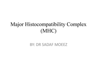 Major Histocompatibility Complex
(MHC)
BY: DR SADAF MOEEZ
 